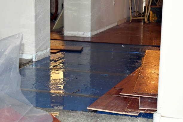 Professional Emergency Water Damage Restoration technician working in Chatsworth, IA